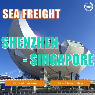 Sea Freight From Shenzhen To Singapore | China To Singapore Ocean Freight Service